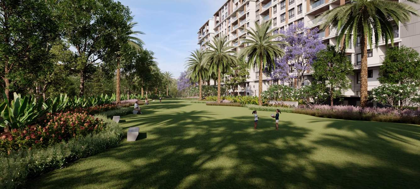  regalia project 1 Landscape Garden and Tree Planting