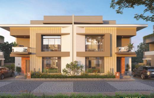 opulence Elevation Elevation