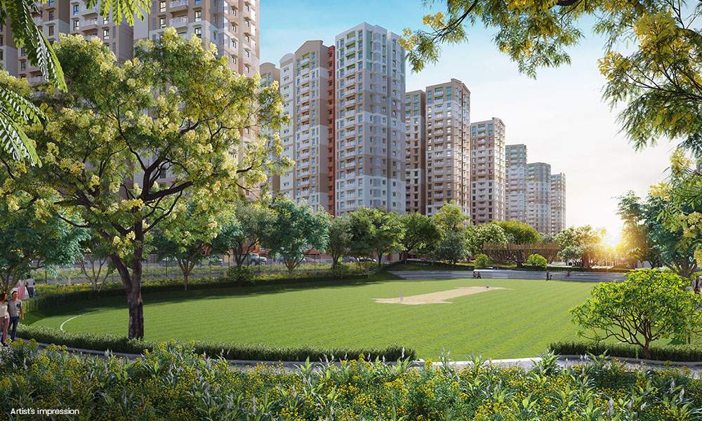 cobalt at brigade el dorado phase 2 Cricket Pitch