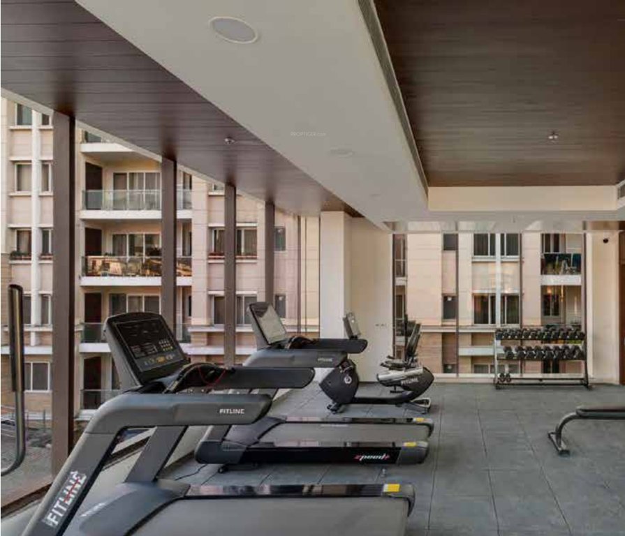  park belles phase 2 Gymnasium