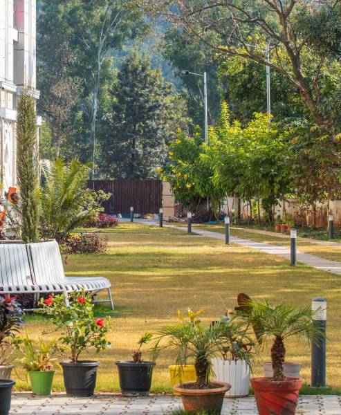  park-belles-phase-2 Others