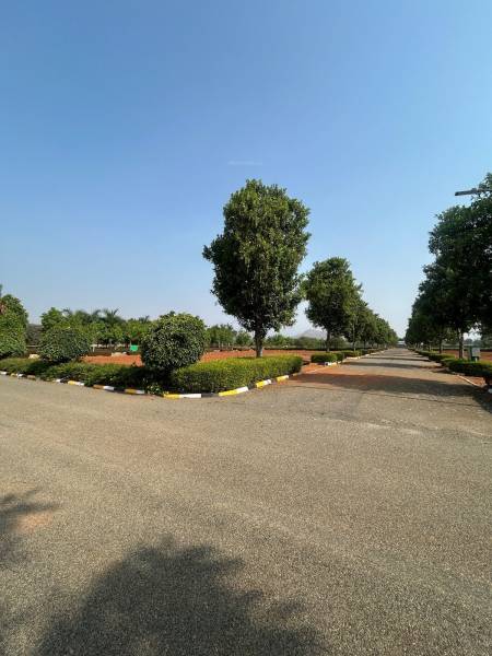  flora-valley-phase-ii Elevation