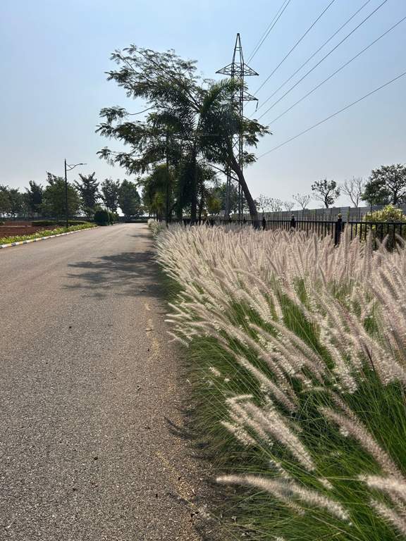  flora valley phase ii Plot