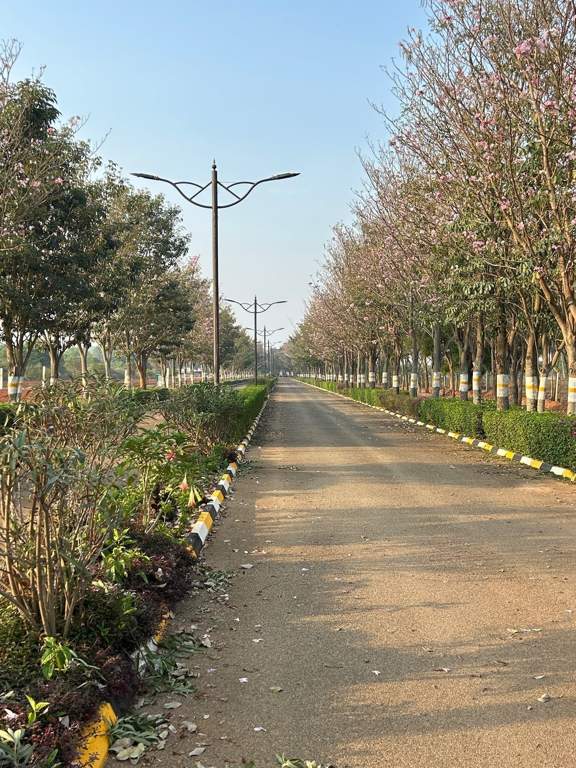  flora valley phase ii Plot