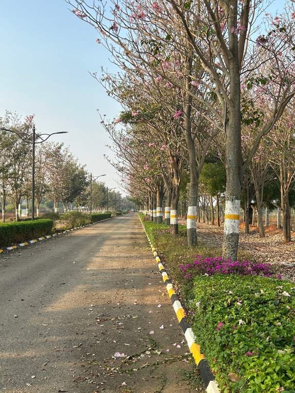  flora valley phase ii Plot