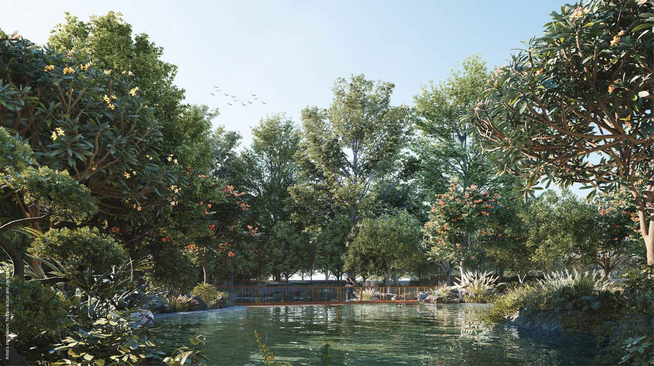  woodscapes phase 2 Landscape Garden and Tree Planting