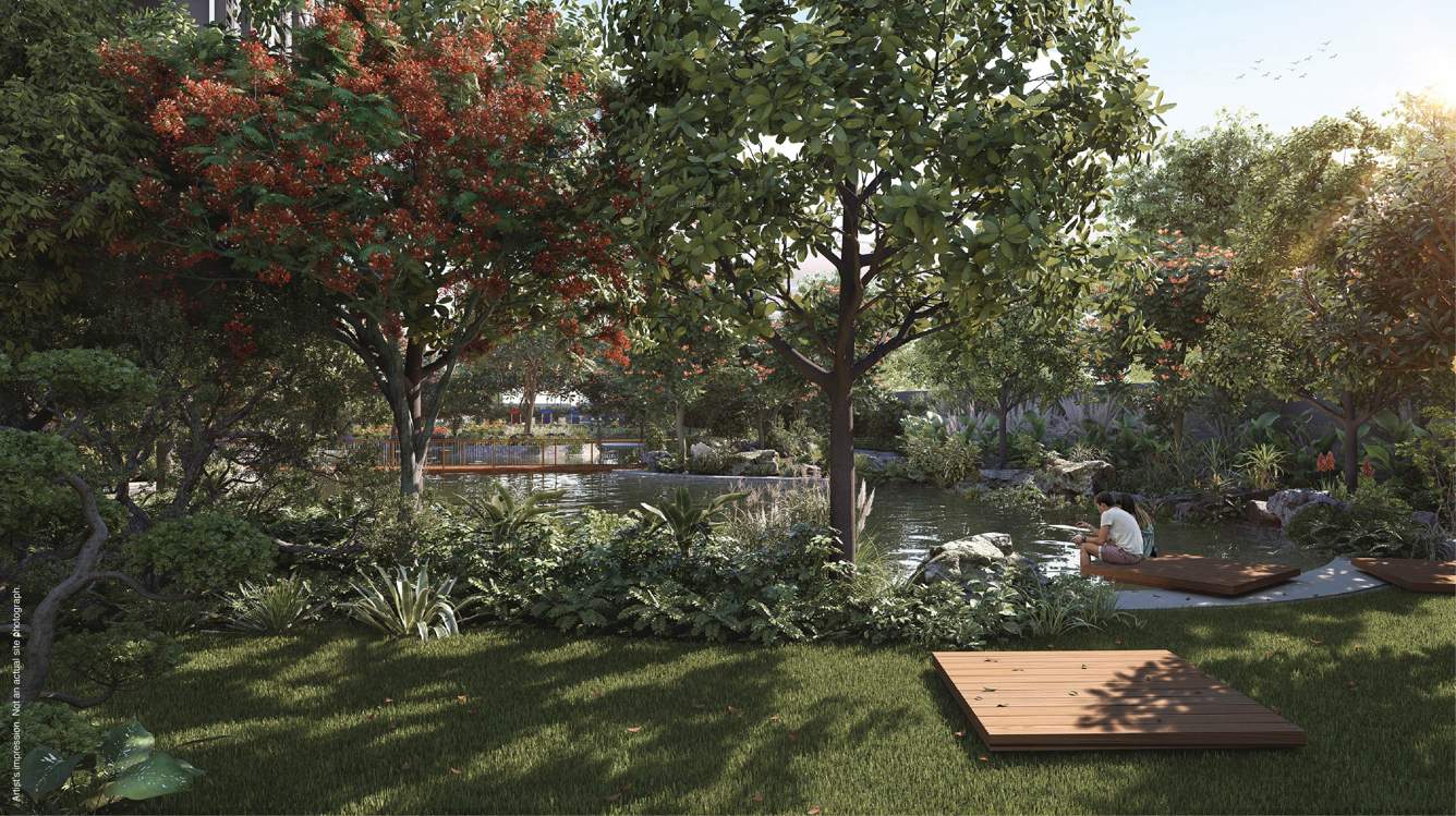  woodscapes phase 2 Landscape Garden and Tree Planting