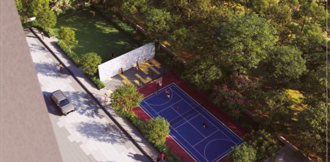  mayuk Basketball Court