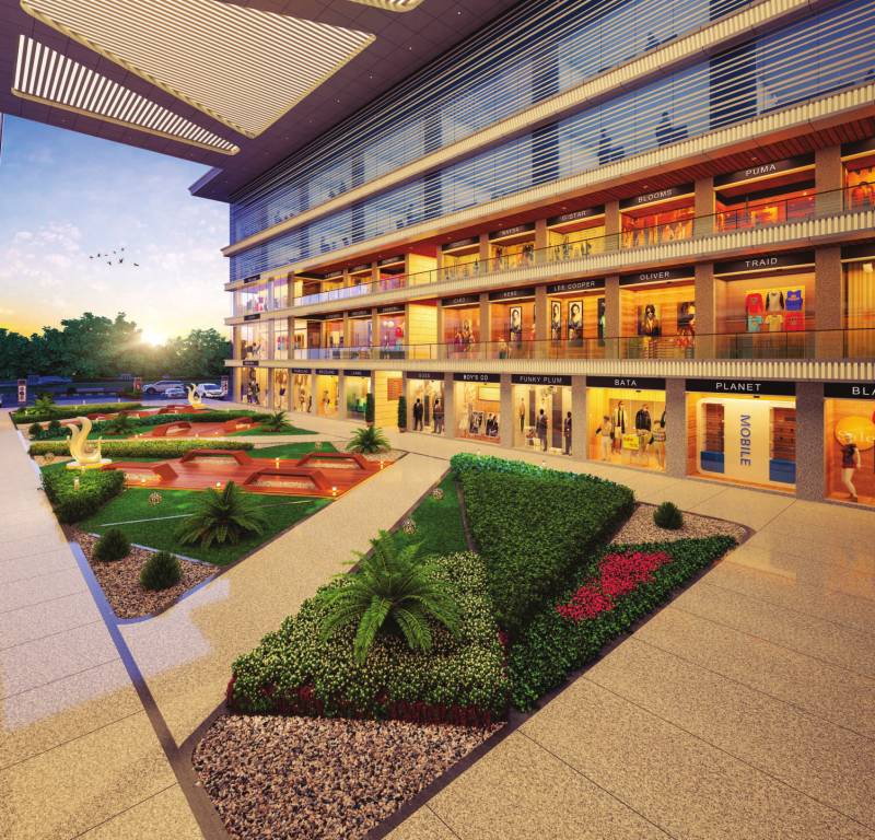 olympia phase b Others