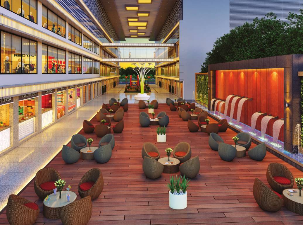 olympia phase b Others