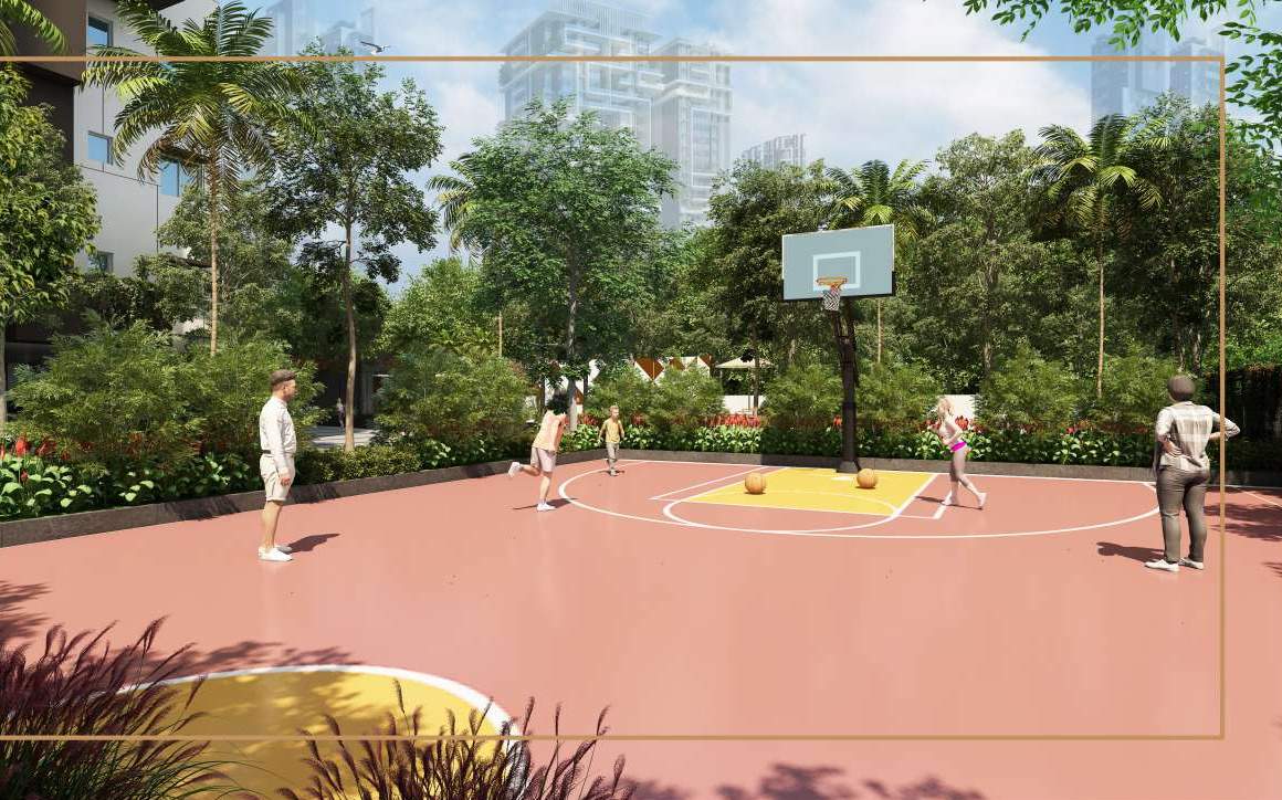  serene Basketball Court
