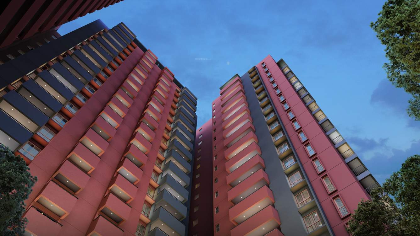  sora and saki phase 2 Elevation