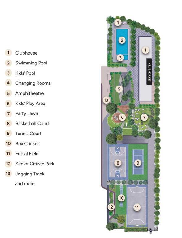  sora and saki phase 2 Master Plan