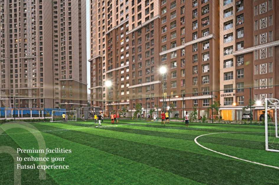  west county phase 7 dosti willow Football Field