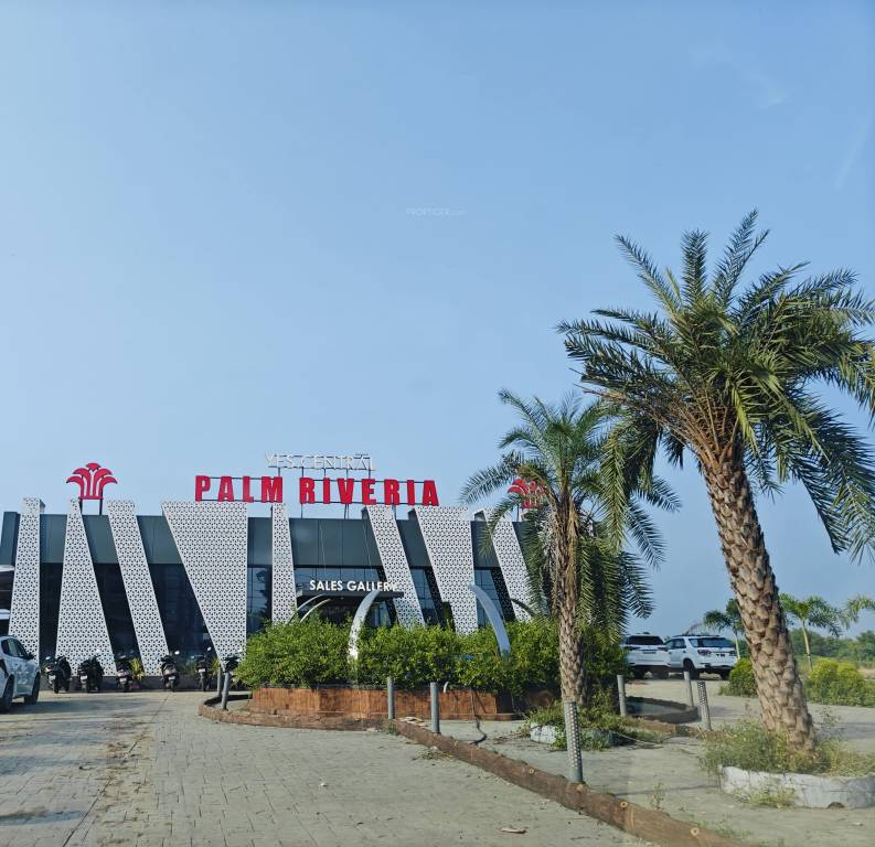 Yes Palm Riveria