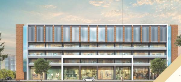  golden-icon Elevation