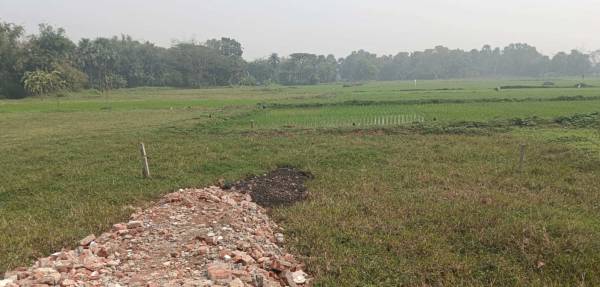  green-pearl-city Elevation