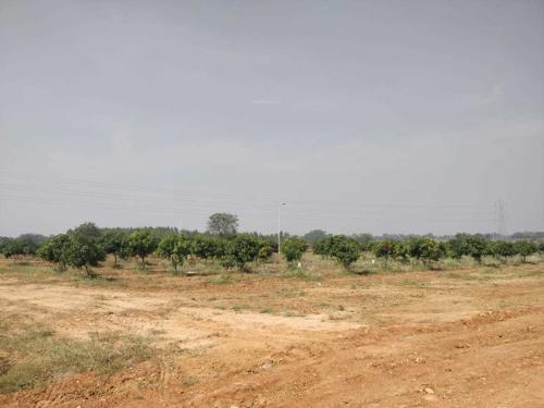  adityas-green-avenues-and-resorts Elevation