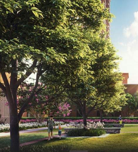 estate 360 Landscape Garden and Tree Planting