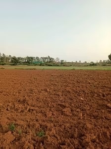  shri-krishna-oasis Elevation