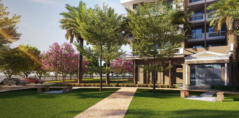  the select premia Landscape Garden and Tree Planting