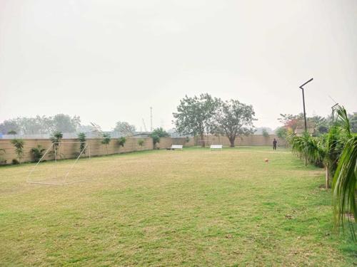 Landscape Garden and Tree Planting supernova-phase-iv Landscape Garden and Tree Planting