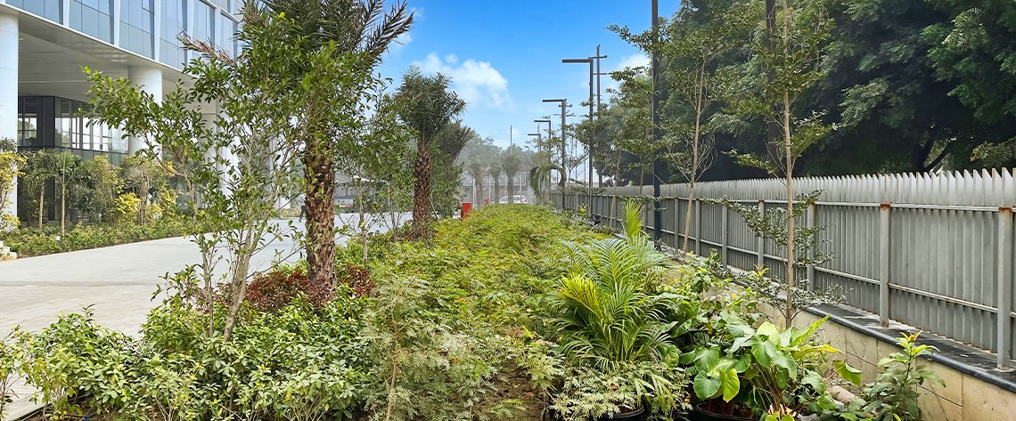  techpark noida Landscape Garden and Tree Planting
