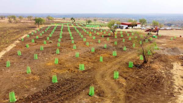  the-agri-fields Elevation