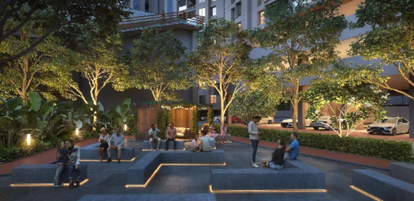  maximus wing f Others