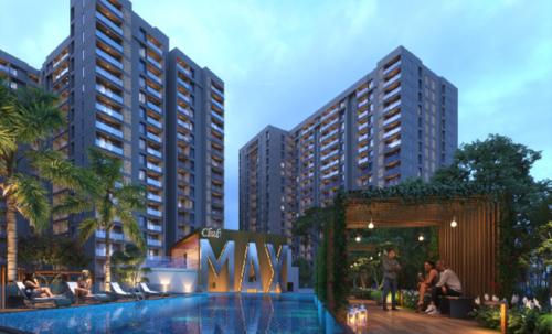  maximus-wing-f Others