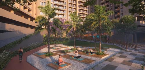  maximus-wing-f Others