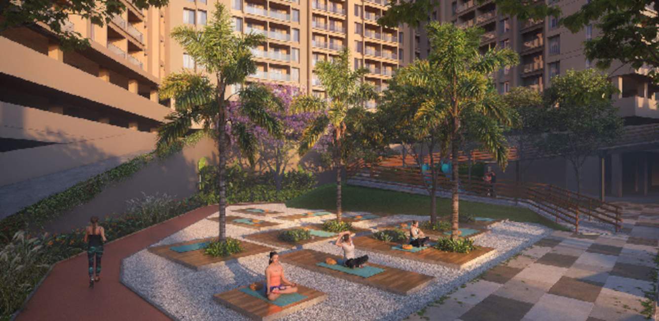  maximus wing f Others