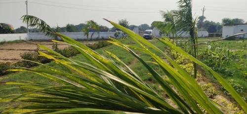  flowerish-garden-city-residential-plots Plot