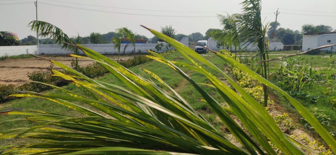  flowerish garden city residential plots Plot