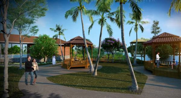 Others evernest-prime-roha Others