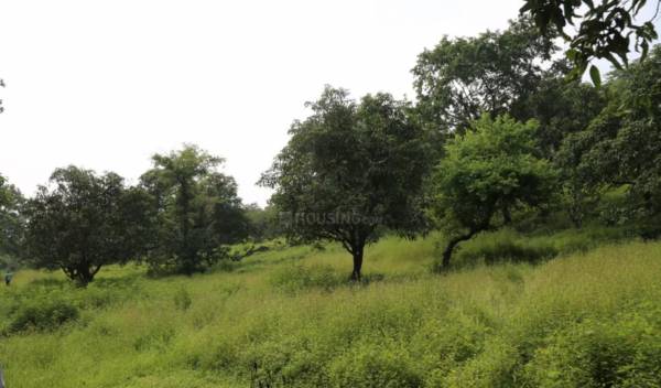 Plot evernest-prime-roha Plot