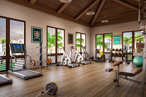  city-honour Gymnasium