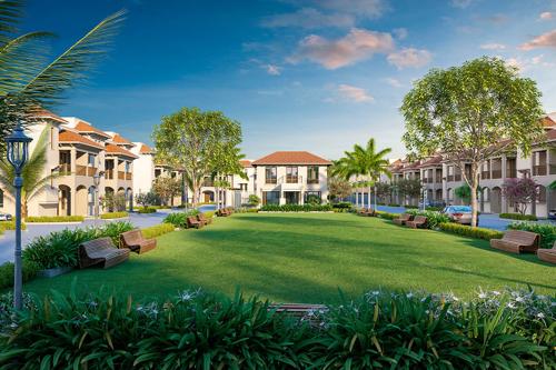  city-honour Landscape Garden and Tree Planting