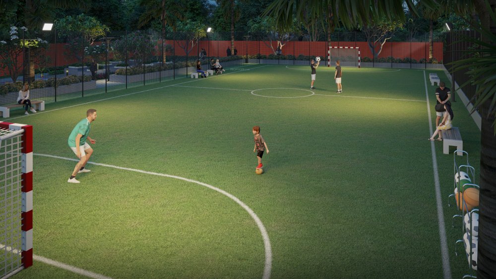  f premium Football Field