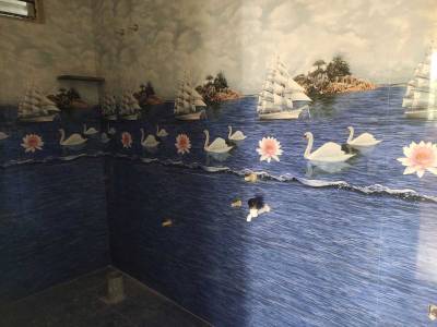  athish-cloud Bathroom