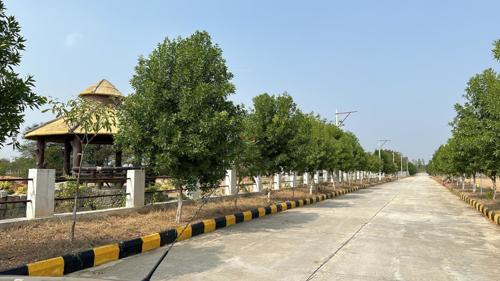  kaku-alaya-avenue Internal Roads & Footpaths