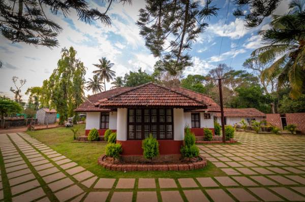  lost-in-the-woods Others