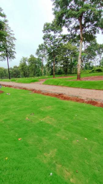  lost-in-the-woods Plot