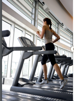  fortune-hestia Gymnasium