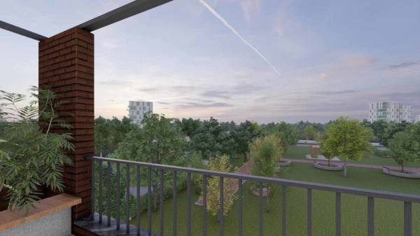  tranquillo-meadows Others