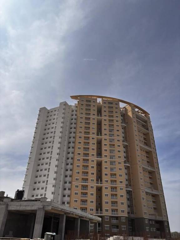 Monarch Aqua Block C