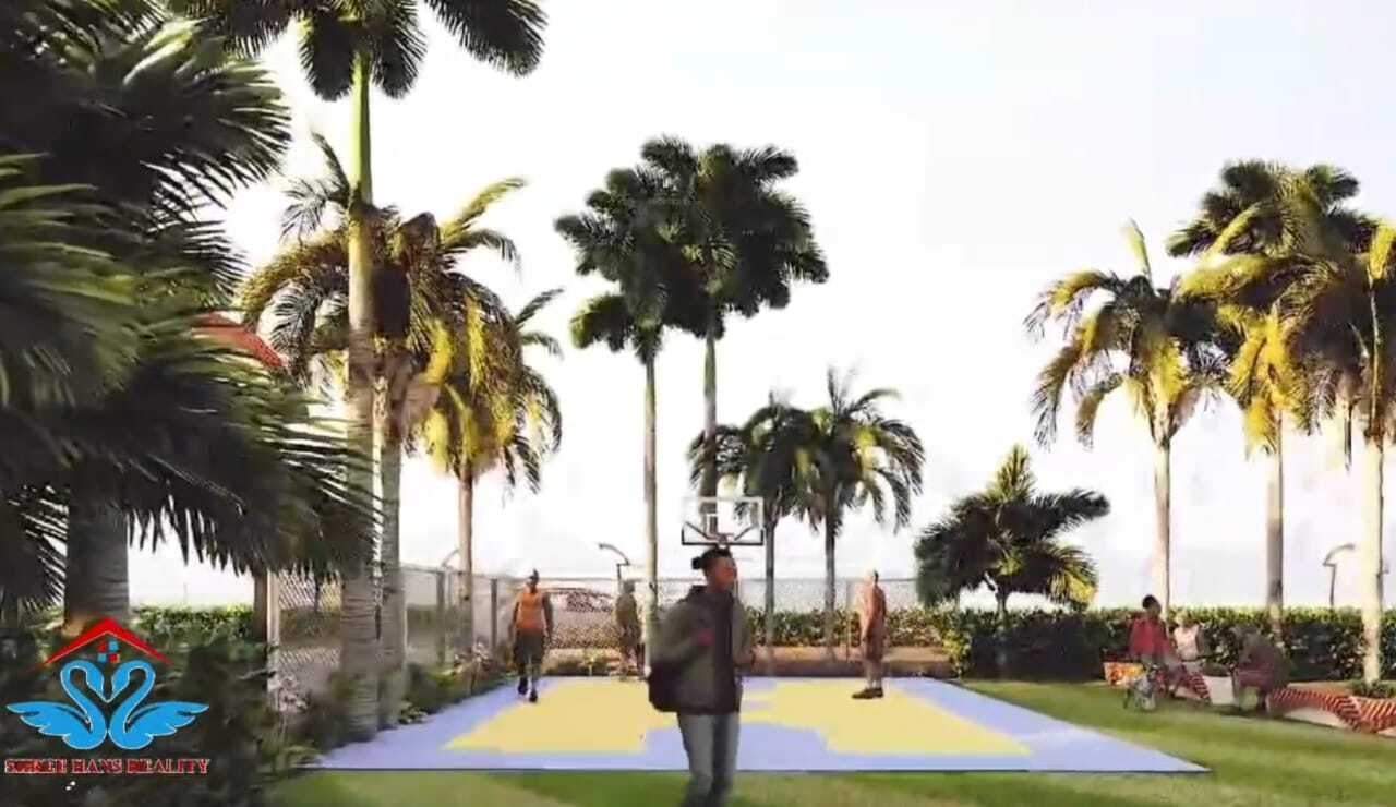  tulip park Basketball Court