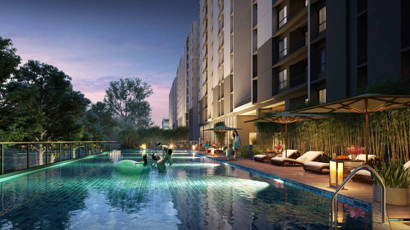  begraj prakriti Swimming Pool