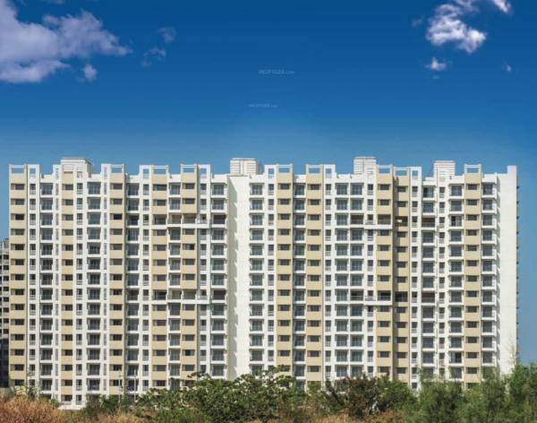 Elevation brooklyn-park Elevation