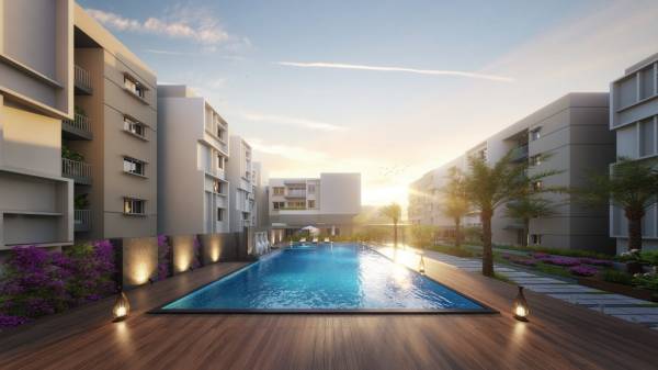 Swimming Pool square Swimming Pool